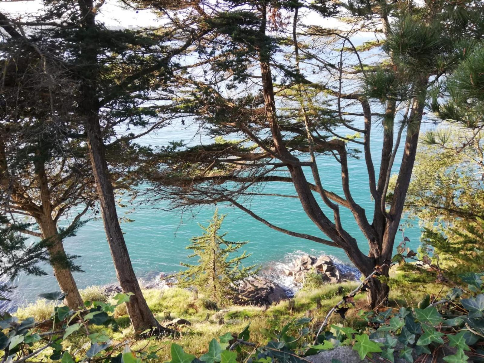 Rance Solidor Ter Saint-Malo Kültér fotó